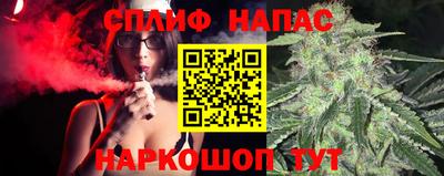 стаф Пугачёв