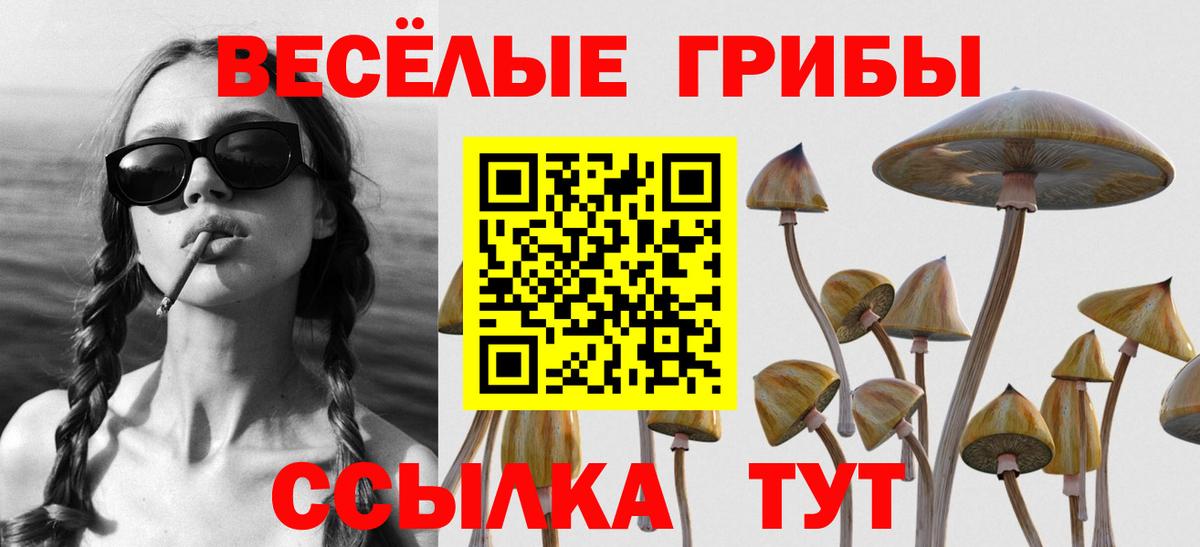 Псилоцибиновые грибы мицелий Рузаевка